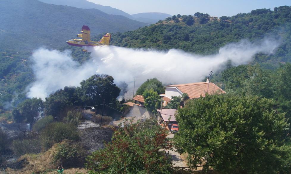 Bonifica dopo il rogo, i forestali al lavoro