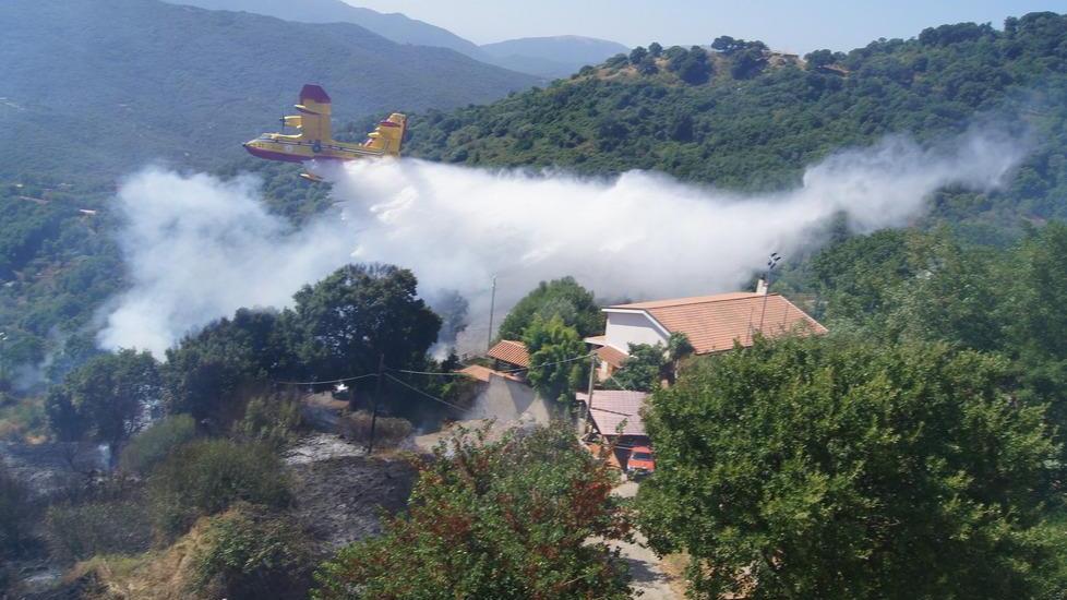 Bonifica dopo il rogo, i forestali al lavoro
