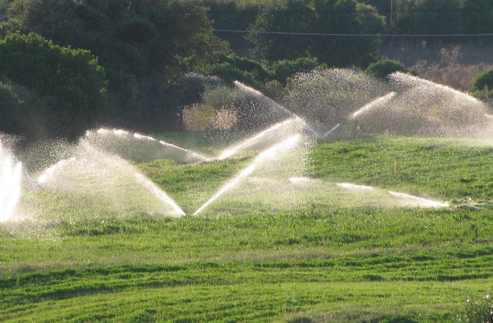 Irrigazione ridotta nelle campagne galluresi