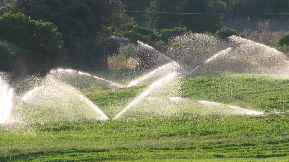Irrigazione ridotta nelle campagne galluresi