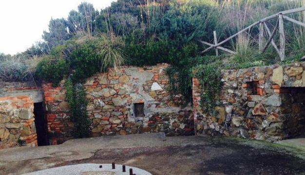  Natura e memoria a Punta Falcone con Ennio Colli 