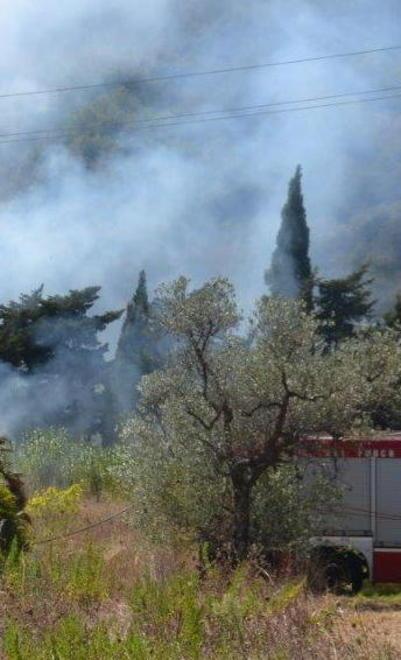 Dieci ettari di terreno divorati dal fuoco 