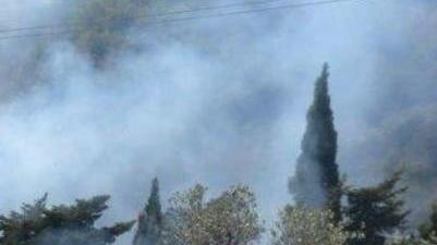 Dieci ettari di terreno divorati dal fuoco