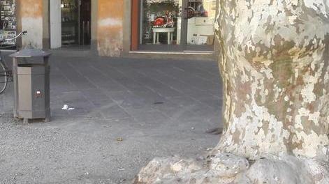 Missione anti-buche: parte il restauro delle piazze storiche