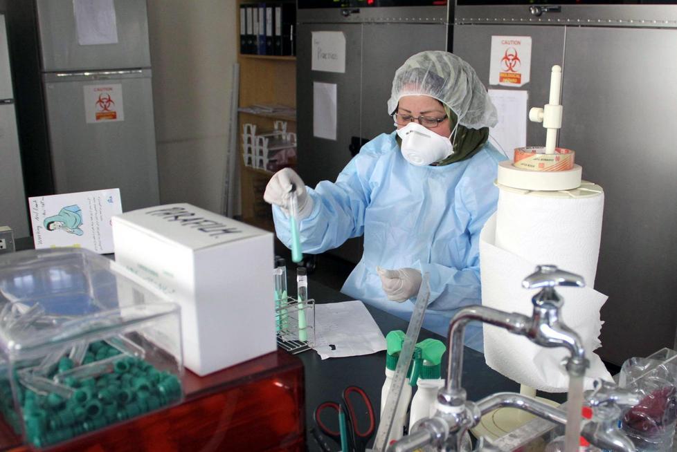 Virus della Febbre del Nilo ordinanza del sindaco 