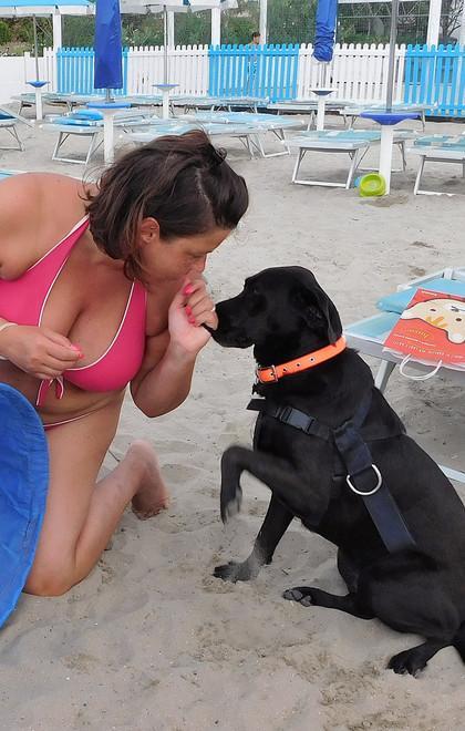 Dog Beach, una realtà che prende piede 