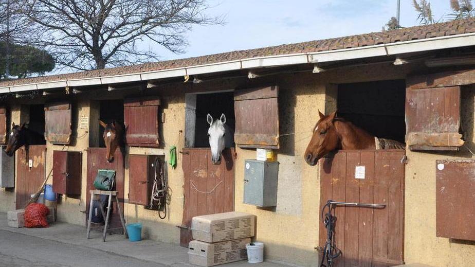 Maneggio, per gestirlo un conto da 2,5 milioni