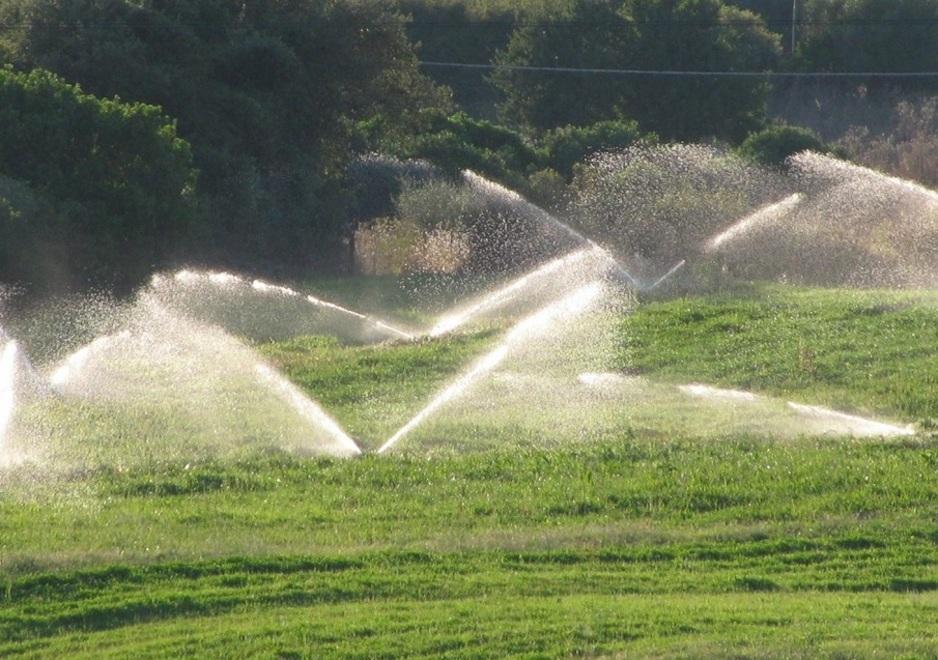 Emergenza siccità, le imprese agricole sono in ginocchio 