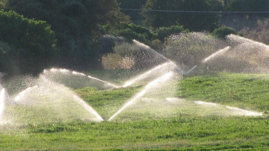 Emergenza siccità, le imprese agricole sono in ginocchio