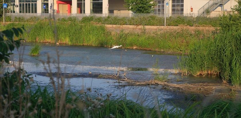 L’oasi piena di rifiuti verrà presto bonificata 