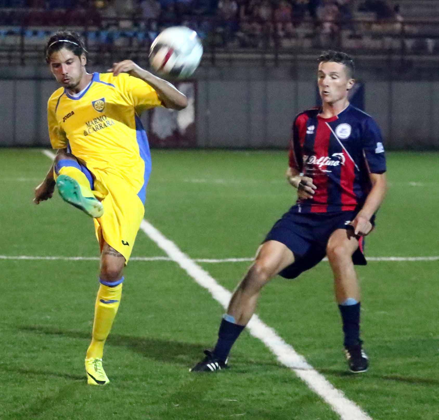 Torelli in azione