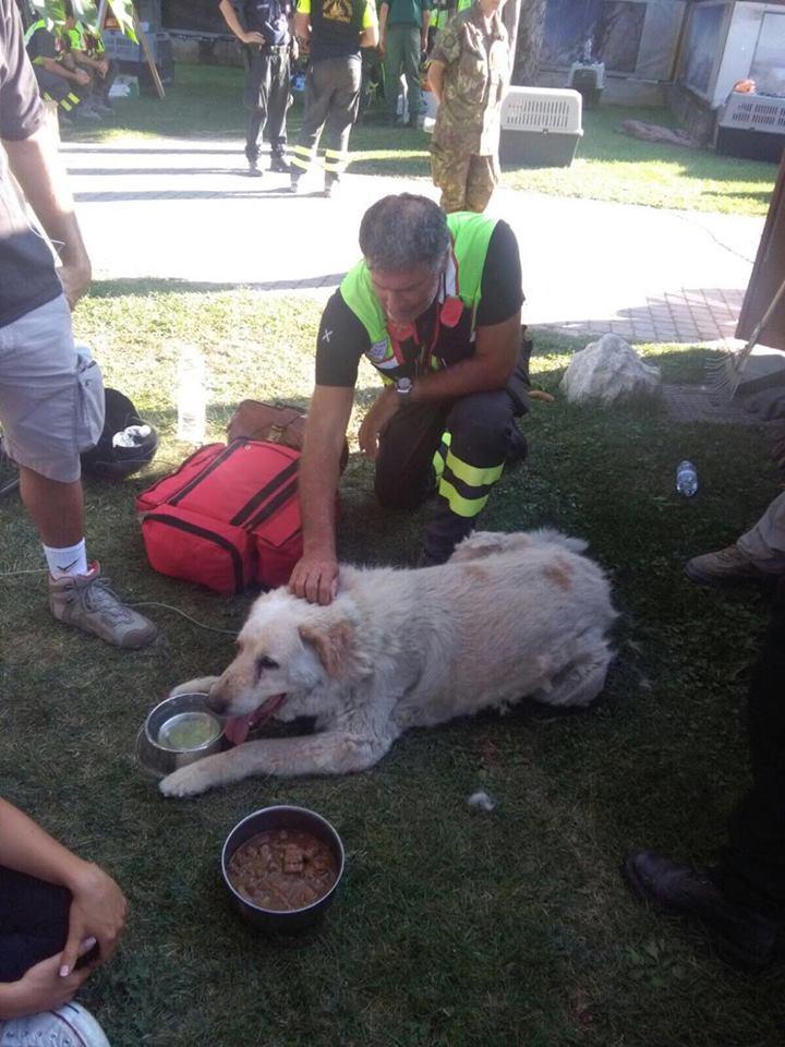Bettino Catania con il cane Bravo 
