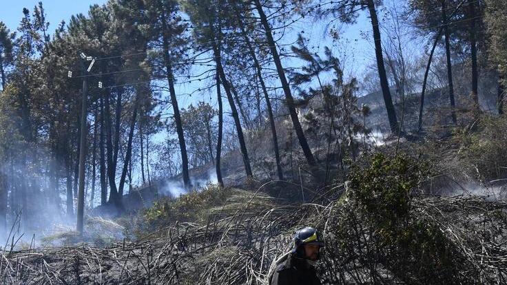 È caccia al piromane, aumentati i controlli