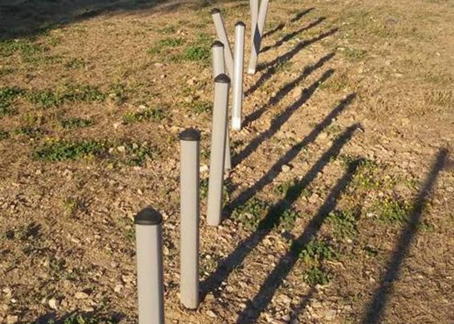 Divelti i paletti per far giocare i cani