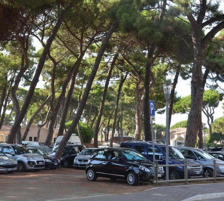 Dà fuoco agli aghi di pino Denunciato dai carabinieri 