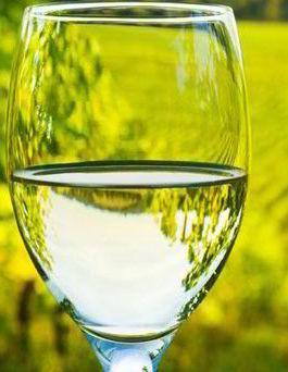 Arenarie di Sella & Mosca, un classico Sauvignon d’autore per le zuppe di verdura