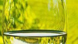 Arenarie di Sella & Mosca, un classico Sauvignon d’autore per le zuppe di verdura