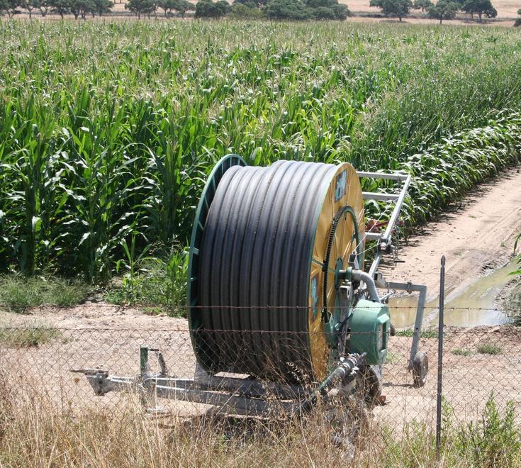 «Consorzio di bonifica, basta bollette impazzite» 