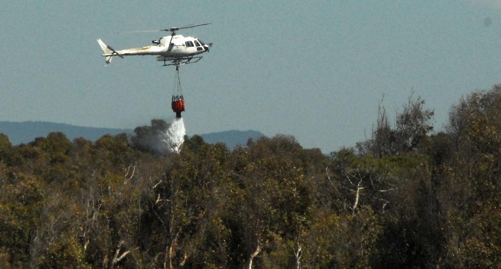 Pineta sotto attacco, cinque focolai 