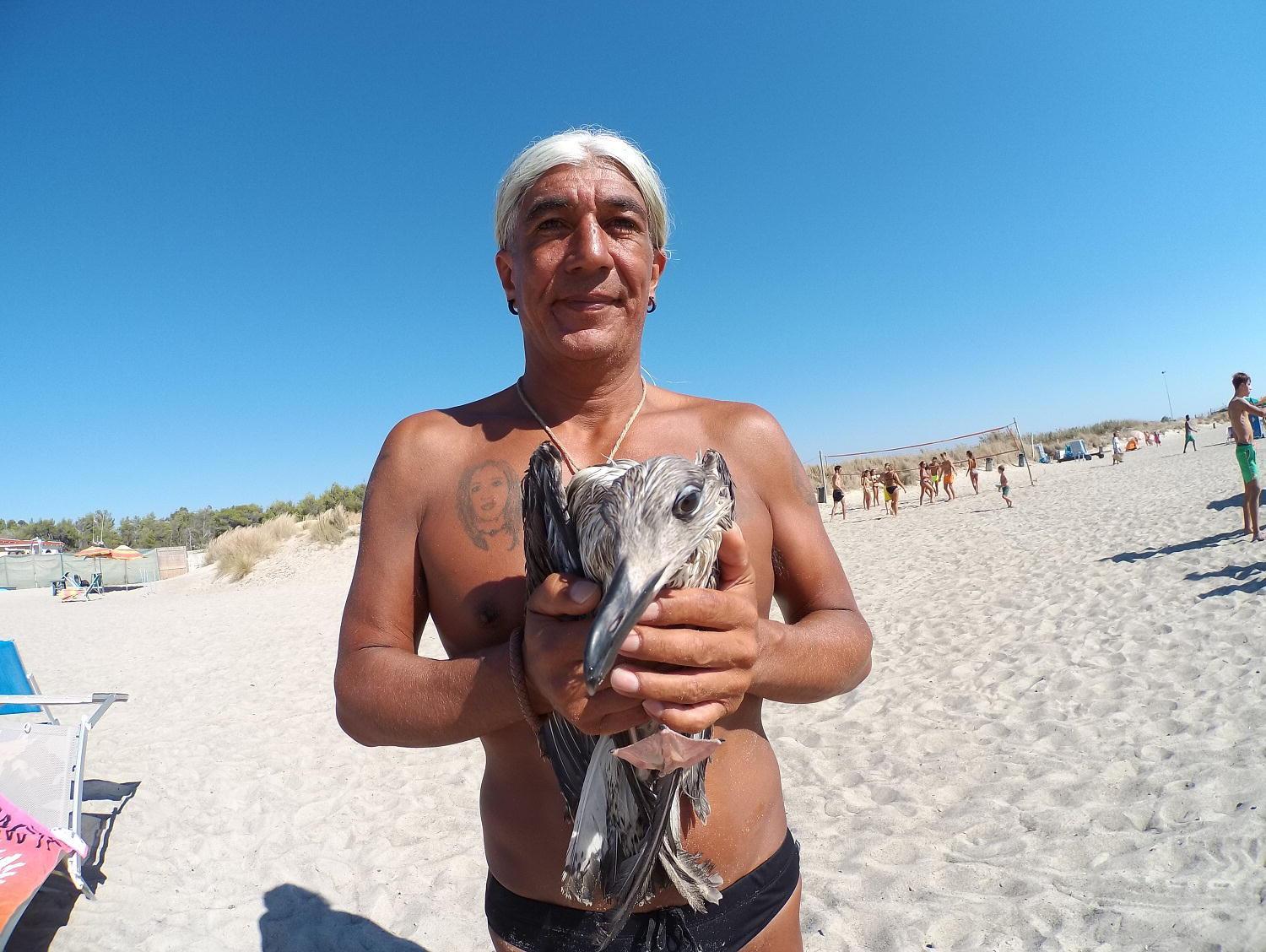Luis "Tato" Del Transito con Cipì, il gabbiano ferito