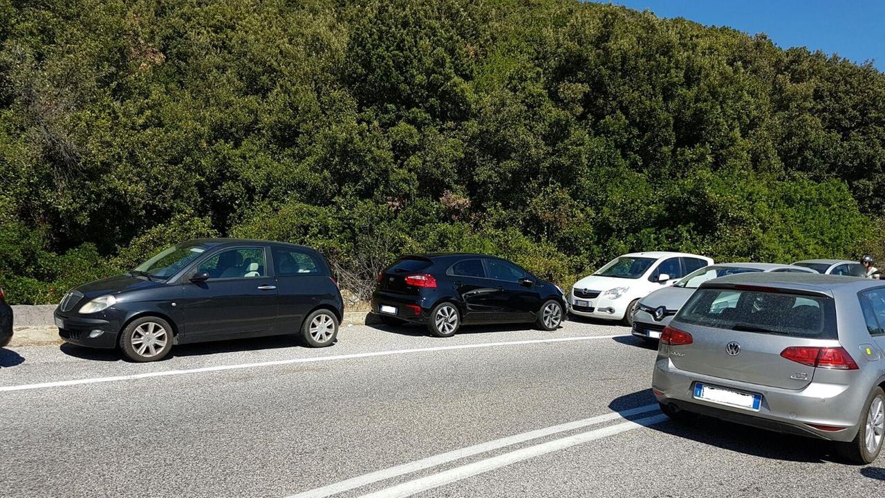 Pioggia di multe della polizia municipale sul lungomare: 115 in un giorno