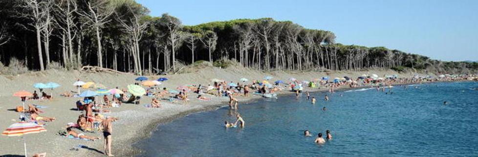 La spiaggia libera a ridosso della pineta in direzione di Marina di Bibbona (foto Michele Falorni/Silvi)