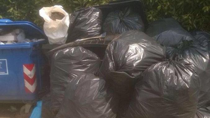Provinciale ripulita c’erano 4 metri cubi di cartacce e rifiuti