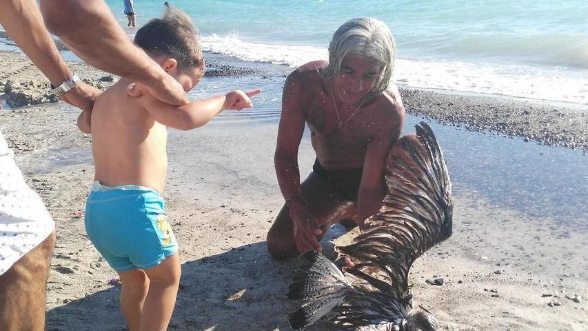 L’indio e il gabbiano una favola di mare