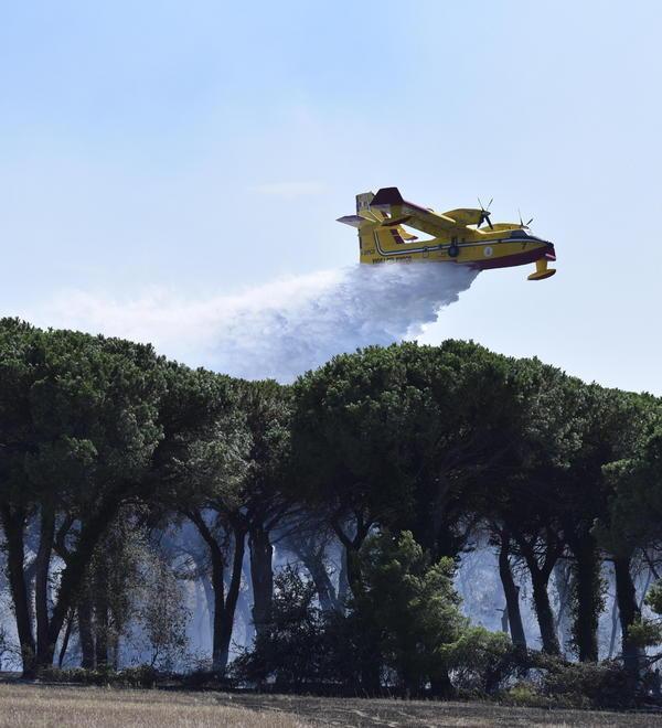 Aib, un esercito «da raddoppiare» contro le fiamme 