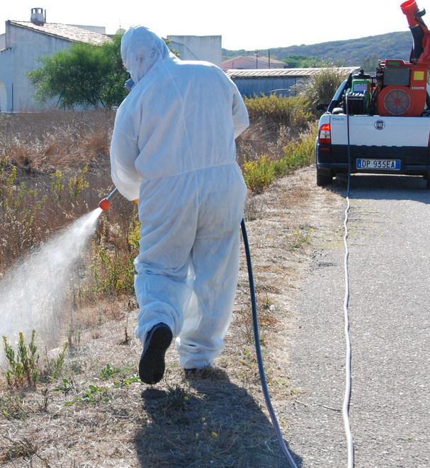 Febbre del Nilo, nessun allarme ma molta attenzione 