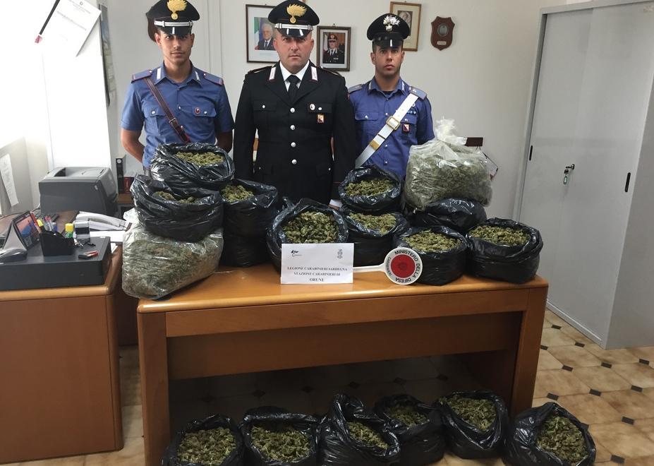 Orune, sequestrati 50 chili di marijuana nascosti in una casa 