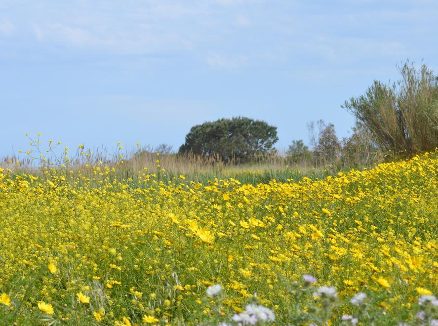 Mab Unesco, Posada e Siniscola dicono sì 