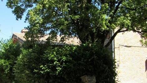 Cade dalle scale, ricoverato
