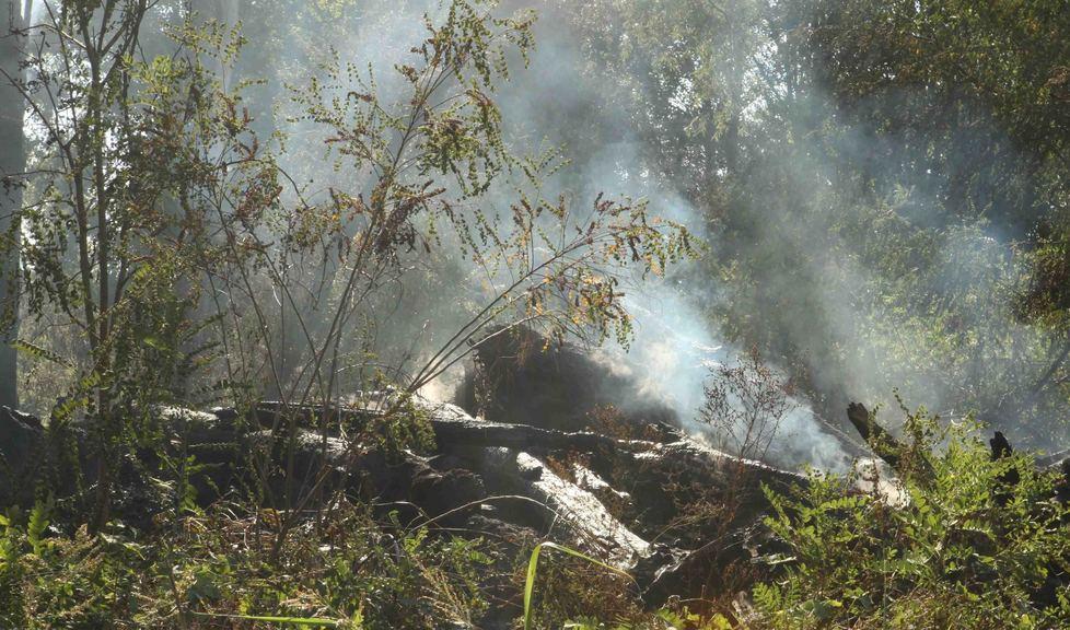 Parco dell’Enza in fiamme, distrutti 500 metri quadri 
