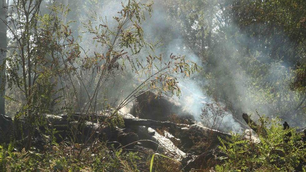 Parco dell’Enza in fiamme, distrutti 500 metri quadri