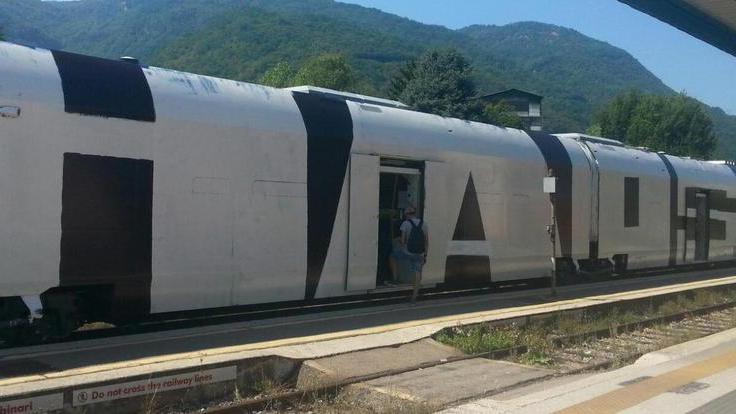 Il treno come tela per i vandali dello spray