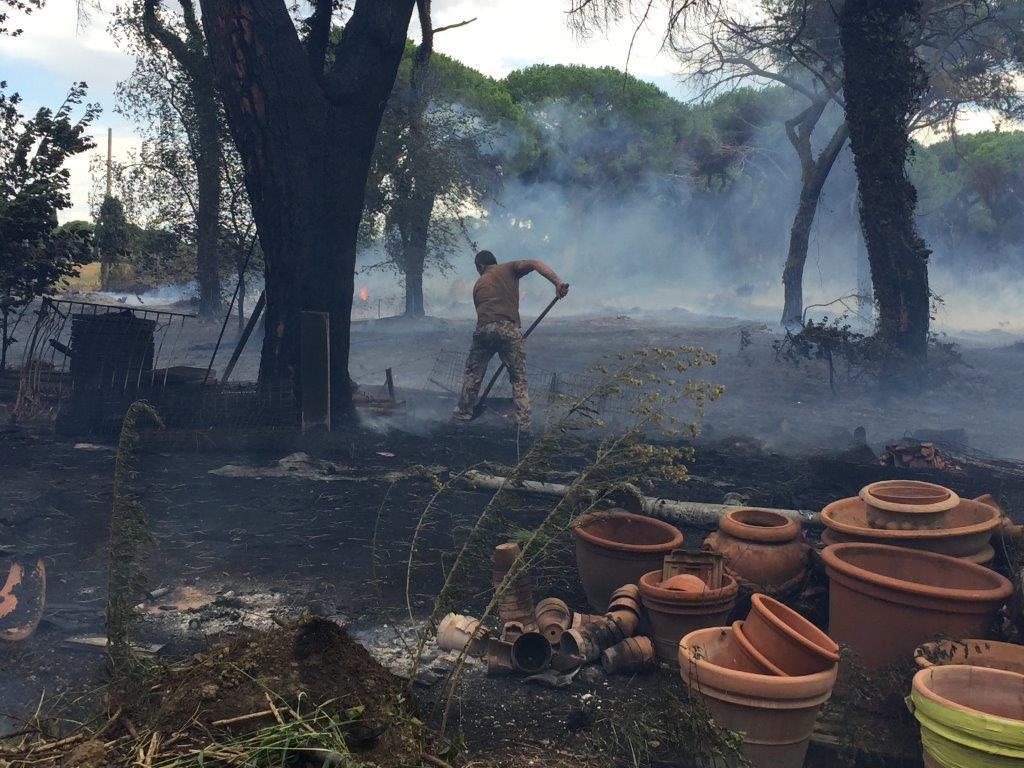 Il vivaio Principina distrutto dalle fiamme 