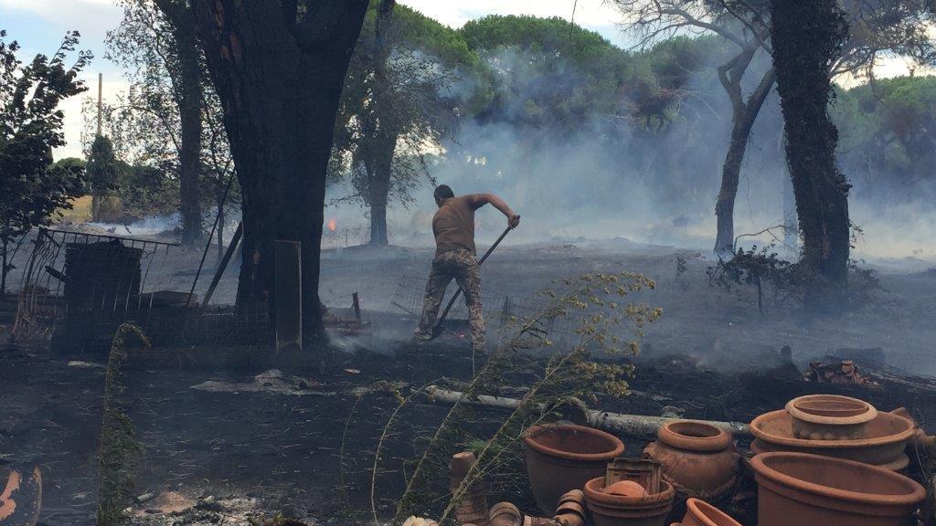 Il vivaio Principina distrutto dalle fiamme