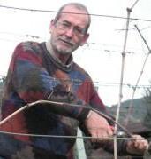 Vendemmia anticipata Annata di qualità nonostante i cinghiali 
