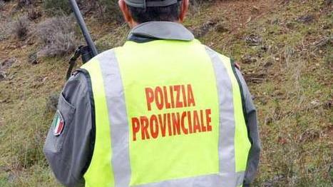 Polizia Provinciale «Non dategli da magiare»