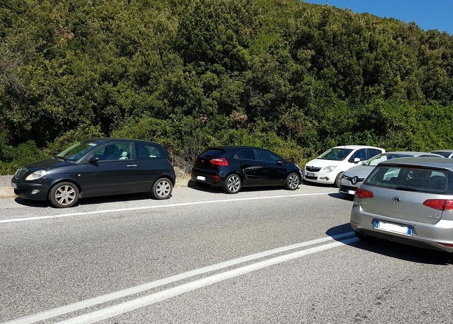 Raffica di multe: 115 in un giorno