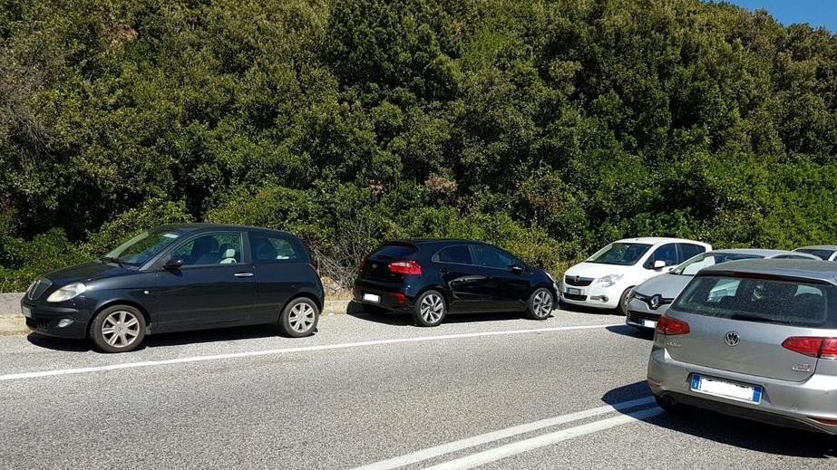 Raffica di multe: 115 in un giorno