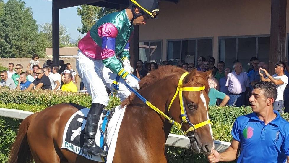 Applausi per le star del galoppo