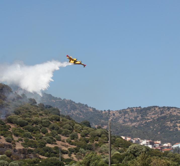 Vasti incendi a Lei e Austis 