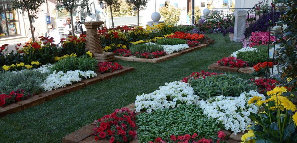 Ad Arzachena sboccia l’“Estate in fiore” 