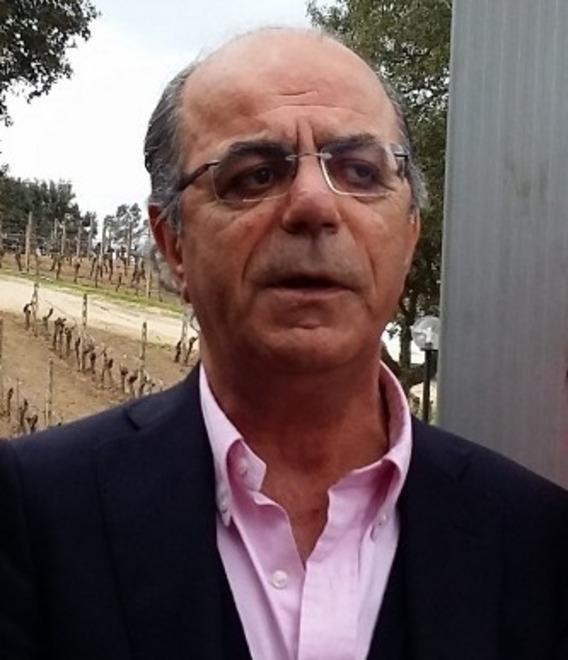 Brindisi sotto le stelle vermentini superstar anche a Golfo Aranci 