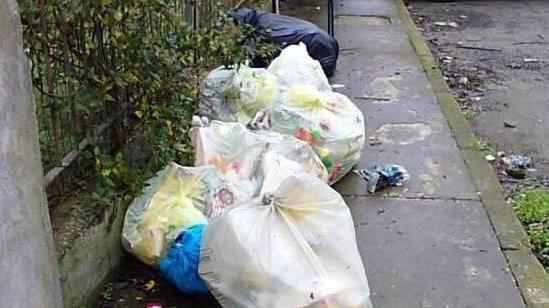 Occhiobello, mal da tariffa «Ma non tornano i cassonetti»