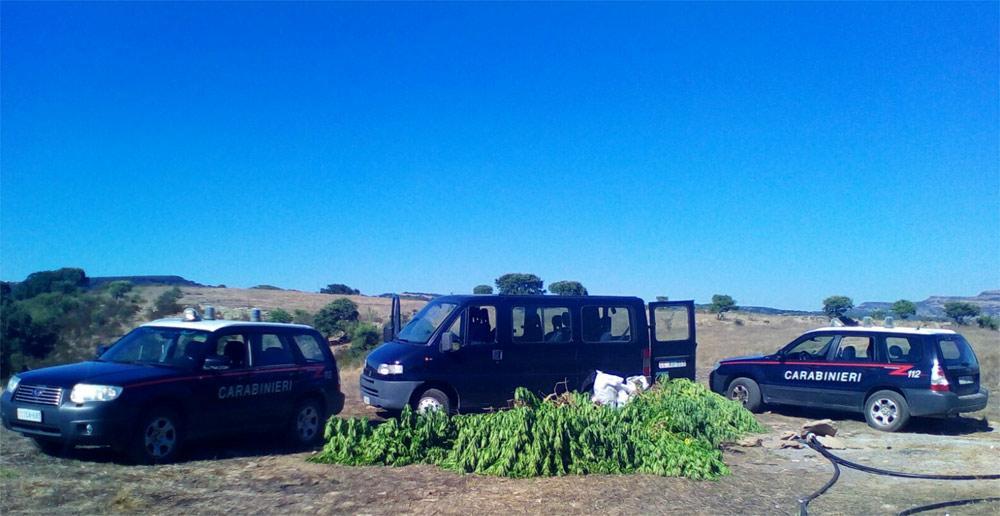 Sequestrati sette chili di marijuana, tre persone arrestate