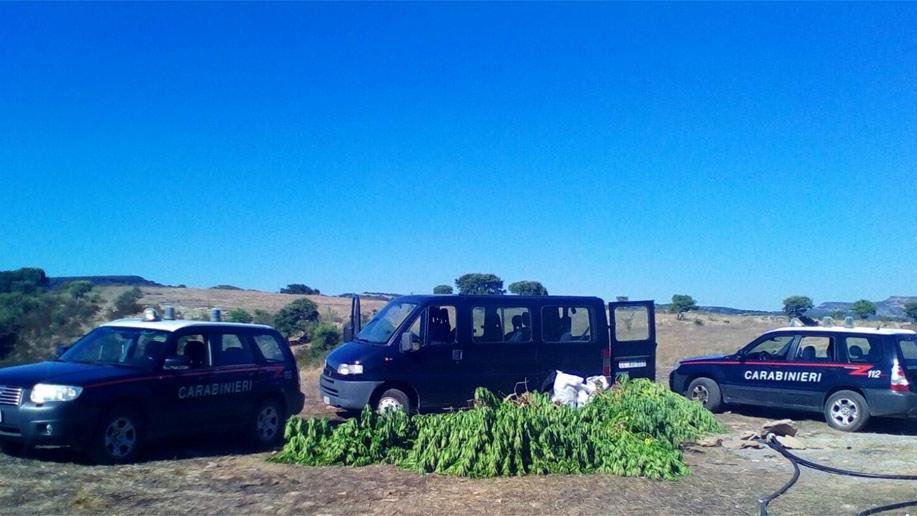 Sequestrati sette chili di marijuana, tre persone arrestate