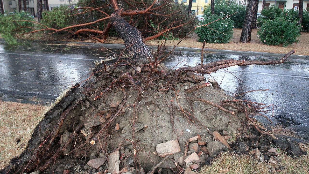 Gli effetti del temporale del luglio scorso (foto agenzia Carlo Sestini)